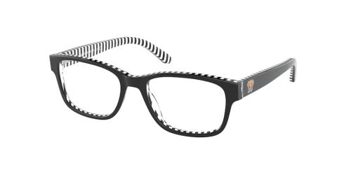 Picture of Polo Eyeglasses PP8537
