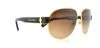 Picture of Dolce & Gabbana Sunglasses DG2117