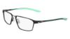 Picture of Nike Eyeglasses 4310