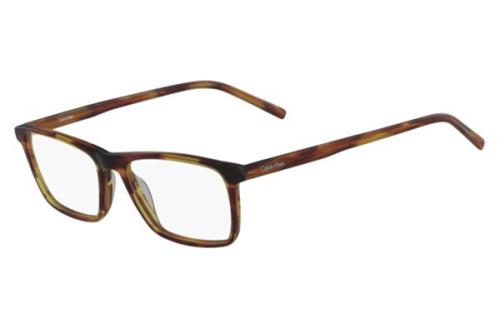 Picture of Calvin Klein Eyeglasses CK6009