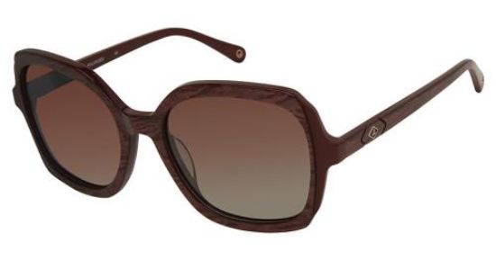 Picture of Sperry Sunglasses MAIDEN