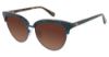 Picture of Sperry Sunglasses CROSSHAVEN