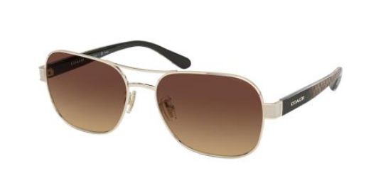 Picture of Coach Sunglasses HC7116