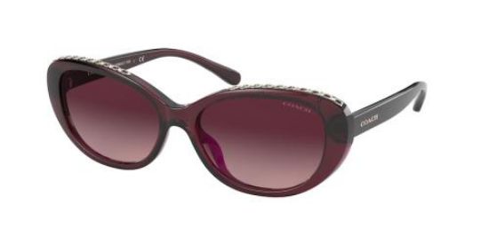 Picture of Coach Sunglasses HC8296U