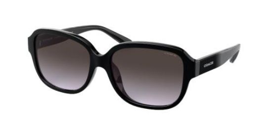Picture of Coach Sunglasses HC8298U