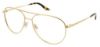 Picture of Steve Madden Eyeglasses JEMMI