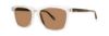 Picture of Penguin Sunglasses THE CRICKET SUN
