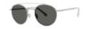 Picture of Penguin Sunglasses THE JERRY
