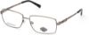 Picture of Harley Davidson Eyeglasses HD0855