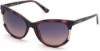 Picture of Guess Sunglasses GU7725
