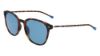 Picture of Nautica Sunglasses N6247S