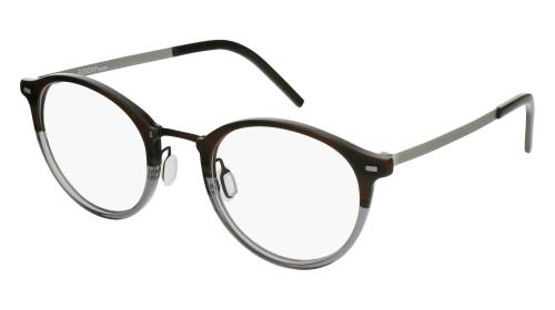 Picture of Flexon Eyeglasses B2024