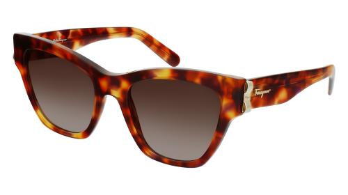 Picture of Salvatore Ferragamo Sunglasses SF1010S