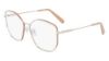 Picture of Salvatore Ferragamo Eyeglasses SF2204