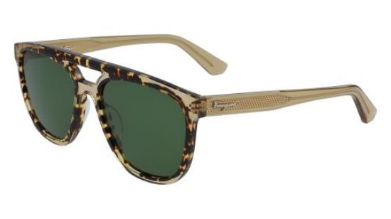 55mm navigator discount sunglasses salvatore ferragamo