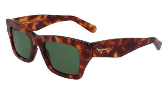 Ferragamo sunglasses discount sf929s