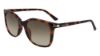 Picture of Calvin Klein Sunglasses CK19527S