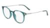 Picture of Calvin Klein Eyeglasses CK20704