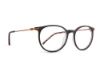 Picture of Rip Curl Eyeglasses RC 2043