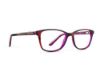 Picture of Rip Curl Eyeglasses RC 4008