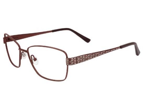 Picture of Cashmere Eyeglasses CASH 489