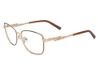 Picture of Cashmere Eyeglasses CASH 493
