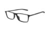 Picture of Ducati Eyeglasses DA 1001