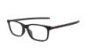 Picture of Ducati Eyeglasses DA 1006
