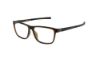 Picture of Spine Eyeglasses SP 1018