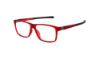 Picture of Spine Eyeglasses SP 1020