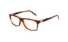 Picture of Spine Eyeglasses SP 1023