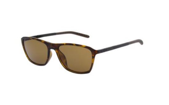 Picture of Spine Sunglasses SP 3402