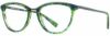 Picture of Cinzia Eyeglasses CIN-5104