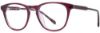 Picture of Scott Harris Eyeglasses SH-500