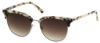 Picture of Elizabeth Arden Sunglasses EA 5251