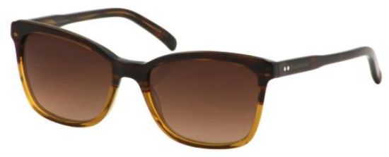 Arden sunglasses 2024