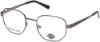 Picture of Harley Davidson Eyeglasses HD0881