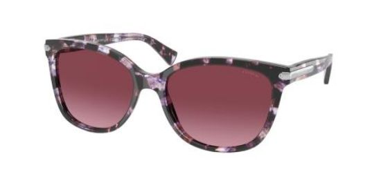 Coach sale sunglasses hc8132