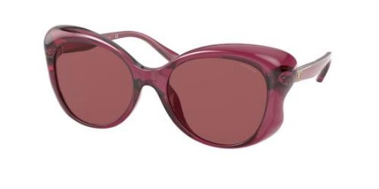 Picture of Coach Sunglasses HC8307U