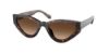 Picture of Coach Sunglasses HC8319