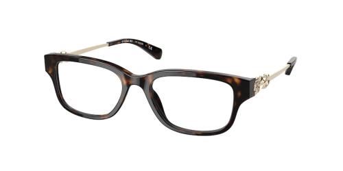 Picture of Coach Eyeglasses HC6162B