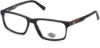 Picture of Harley Davidson Eyeglasses HD0858