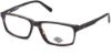 Picture of Harley Davidson Eyeglasses HD0858