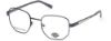 Picture of Harley Davidson Eyeglasses HD0881