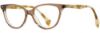 Picture of State Optical Eyeglasses Argyle