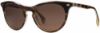 Picture of State Optical Sunglasses Augusta