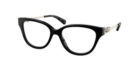 Picture of Coach Eyeglasses HC6161BF