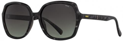 Picture of INVU Sunglasses INVU- 248