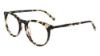 Picture of Nautica Eyeglasses N8166