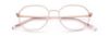 Picture of Paradigm Eyeglasses 21-01